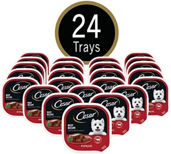 1684225693_51zxtN19sL._AC_.jpg CESAR Soft Wet Dog Food Loaf in Sauce Beef Recipe | Premium Nutrition for Dogs