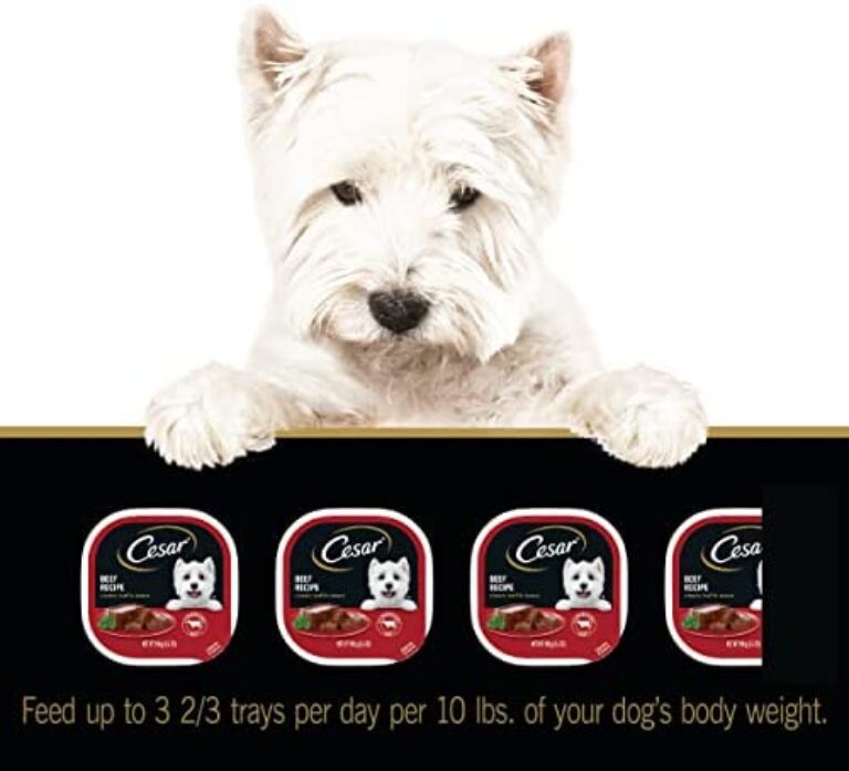 1684225716_41lC9lKAvKL._AC_.jpg CESAR Soft Wet Dog Food Loaf in Sauce Beef Recipe | Premium Nutrition for Dogs