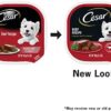 1684225739_41vN-T3TqCL._AC_.jpg CESAR Soft Wet Dog Food Loaf in Sauce Beef Recipe | Premium Nutrition for Dogs