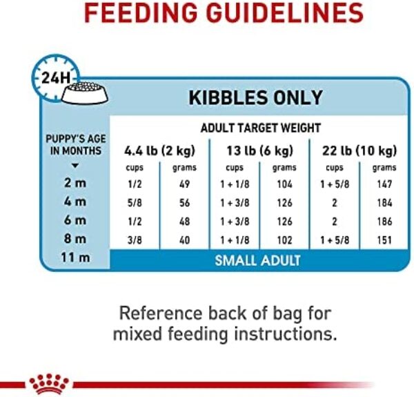 1684261825_51araVz3RZL._AC_.jpg Royal Canin Size Health Nutrition Small Puppy Dry Dog Food | Perfect Nutrition for Small Breed Puppies