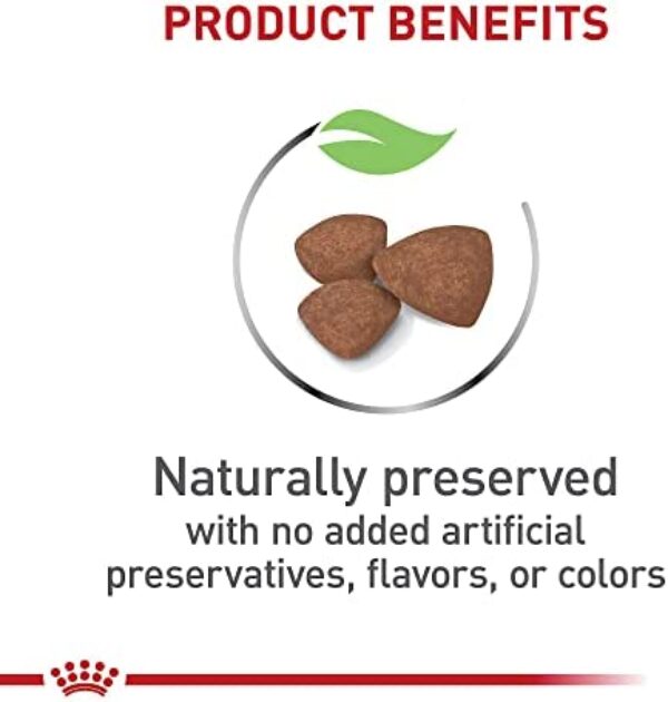 1684261833_41dPb-MGiQL._AC_.jpg Royal Canin Size Health Nutrition Small Puppy Dry Dog Food | Perfect Nutrition for Small Breed Puppies