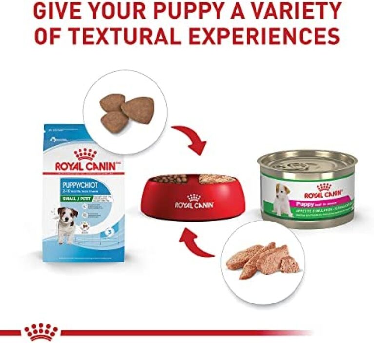 1684261837_51PAuIlFML._AC_.jpg Royal Canin Size Health Nutrition Small Puppy Dry Dog Food | Perfect Nutrition for Small Breed Puppies