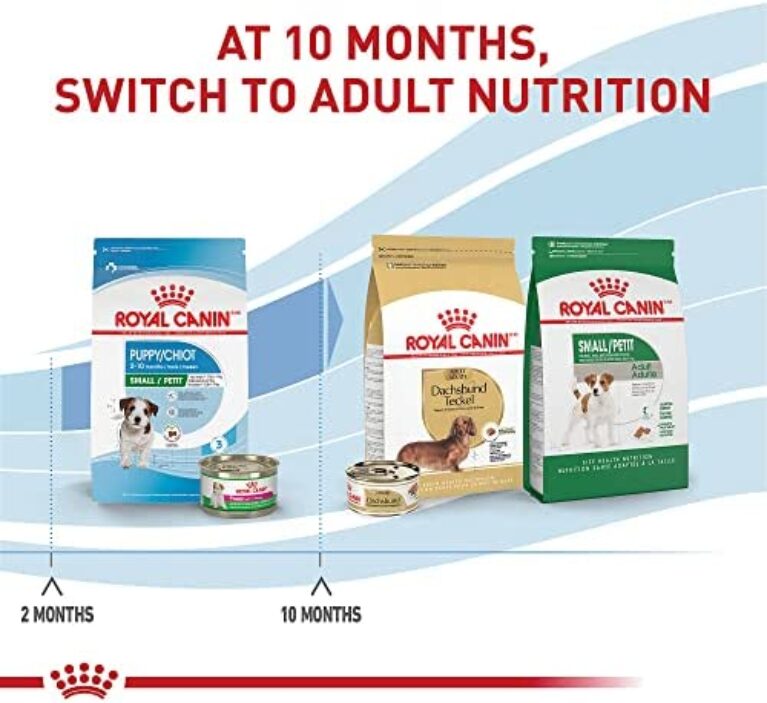 1684261842_51Ou4in0BCL._AC_.jpg Royal Canin Size Health Nutrition Small Puppy Dry Dog Food | Perfect Nutrition for Small Breed Puppies