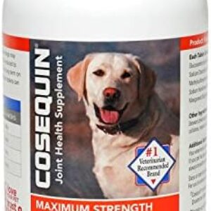 dog supplements for joints