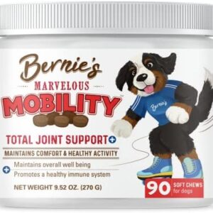 Barky Supplies Expert Tips Dog Supplies Reviews - Expert Opinions and Ratings for Essential Dog Products dog supplements for joints