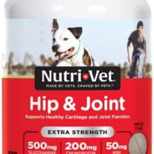 dog supplements for joints