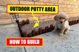 Barky Supplies Expert Tips The Ultimate Guide to Dog Care Courses Unleash Backyard Bliss: Create a DIY Dog Potty Paradise
