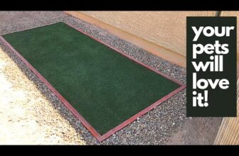 Barky Supplies Expert Tips The Ultimate Guide to Dog Care Courses DIY Dog Potty Area: Simple & Smart Solutions (With Guide!)