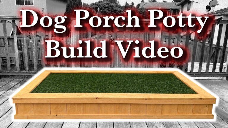 Barky Supplies Expert Tips Craft Your Canine Haven: DIY Dog Porch Potty Build 1704695995 maxresdefault Barky Supplies Expert Tips