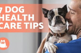 Nurture Your Dog’s Well-Being: 7 Effective Tips for Maintaining Health