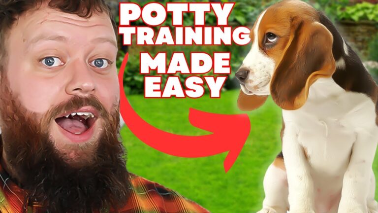 Barky Supplies Expert Tips Master Puppy Potty Training: Easy & Effective Tips for Success! 1705170159 maxresdefault Barky Supplies Expert Tips