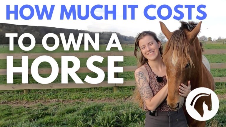 Barky Supplies Expert Tips Unbridled Expenses: The True Cost of Horse Ownership Breakdown 1705411550 maxresdefault Barky Supplies Expert Tips
