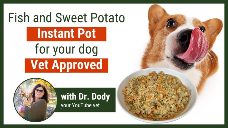 Barky Supplies Expert Tips Unleash Your Dog's Inner Chef: Top Raw Food Diet Recipes for Healthy and Happy Pups 1706641580 maxresdefault Barky Supplies Expert Tips