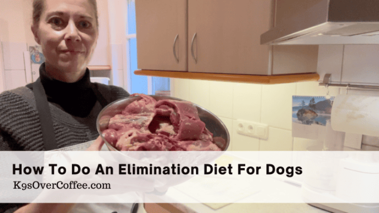 Barky Supplies Expert Tips Uncover Dog Food Allergies: Complete Elimination Diet Guide Title elimination diet for dogs optimized Barky Supplies Expert Tips