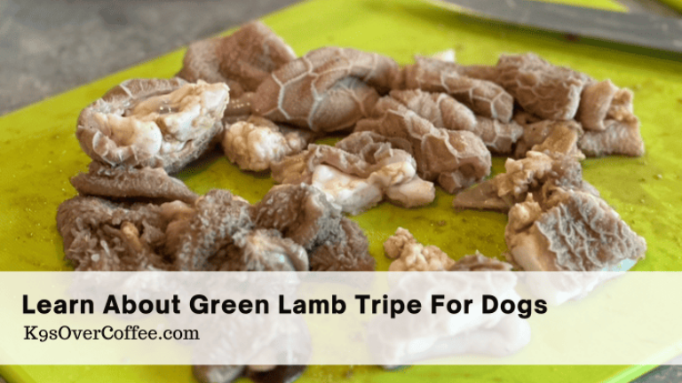 Barky Supplies Expert Tips Green Lamb Tripe For Dogs Title green lamb tripe for dogs optimized Barky Supplies Expert Tips