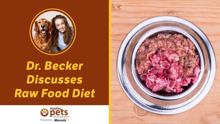 Barky Supplies Expert Tips Raw Food Diet for Dogs: Dr. Becker Discusses Benefits 1707307758 maxresdefault Barky Supplies Expert Tips