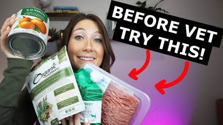 Barky Supplies Expert Tips Home Remedies for Dogs' Upset Stomach: Effective Solutions Home remedies dogs upset stomach