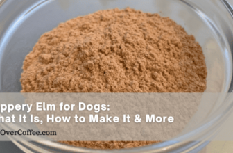 Slippery Elm For Dogs – What It Is, How to Make It & More – K9sOverCoffee