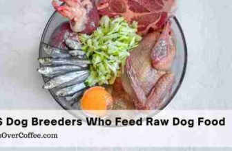 Find Raw Dog Food Breeders in the USA | K9sOverCoffee