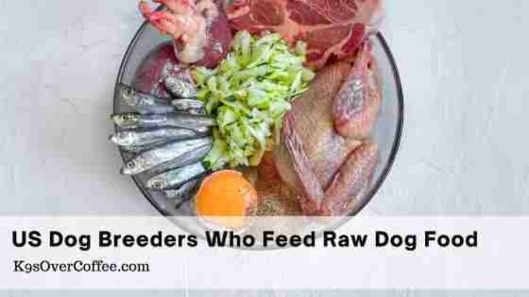 Barky Supplies Expert Tips Find Raw Dog Food Breeders in the USA | K9sOverCoffee Find Raw Dog Food Breeders in the USA | K9sOverCoffee