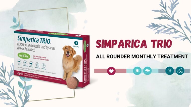 Barky Supplies Expert Tips Fight Fleas, Ticks & Worms: Simparica Trio for Dogs Fight Fleas, Ticks & Worms: Simparica Trio for Dogs