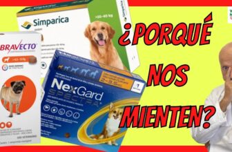 Barky Supplies Expert Tips Barky Supplies Blog - Dog Food and Wellbeing Tips Dog Flea & Tick Pills