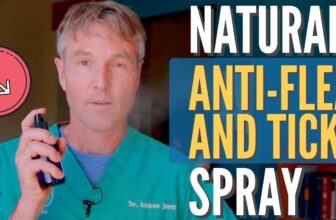 Barky Supplies Expert Tips Barky Supplies Blog - Dog Food and Wellbeing Tips Safe Flea & Tick Spray