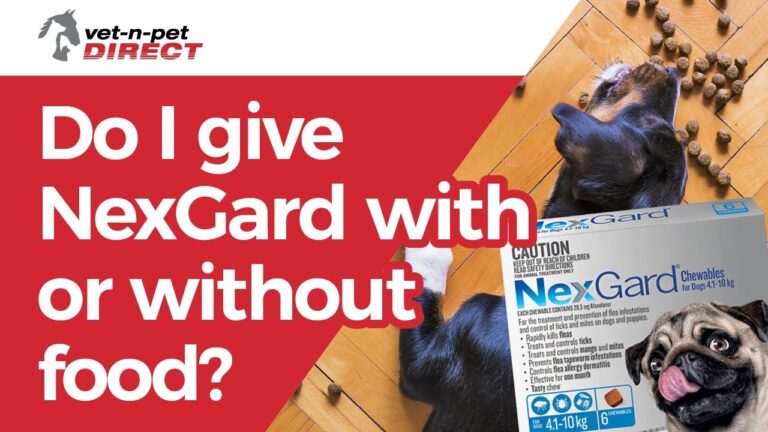 Barky Supplies Expert Tips Can I Give NexGard with Food? | NexGard Dosing Tips NexGard with or without food