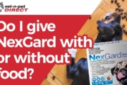 Can I Give NexGard with Food? | NexGard Dosing Tips