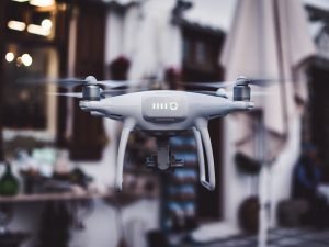 jason blackeye 2SPPbNbVQ3Y unsplash Barky Supplies Expert Tips