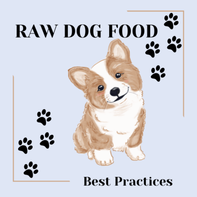 Barky Supplies Expert Tips Raw Dog Food: The Pros, Cons, and Best Practices Raw Dog Food: The Pros, Cons, and Best Practices