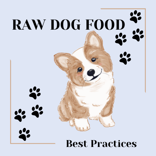 Raw Dog Food: The Pros, Cons, and Best Practices