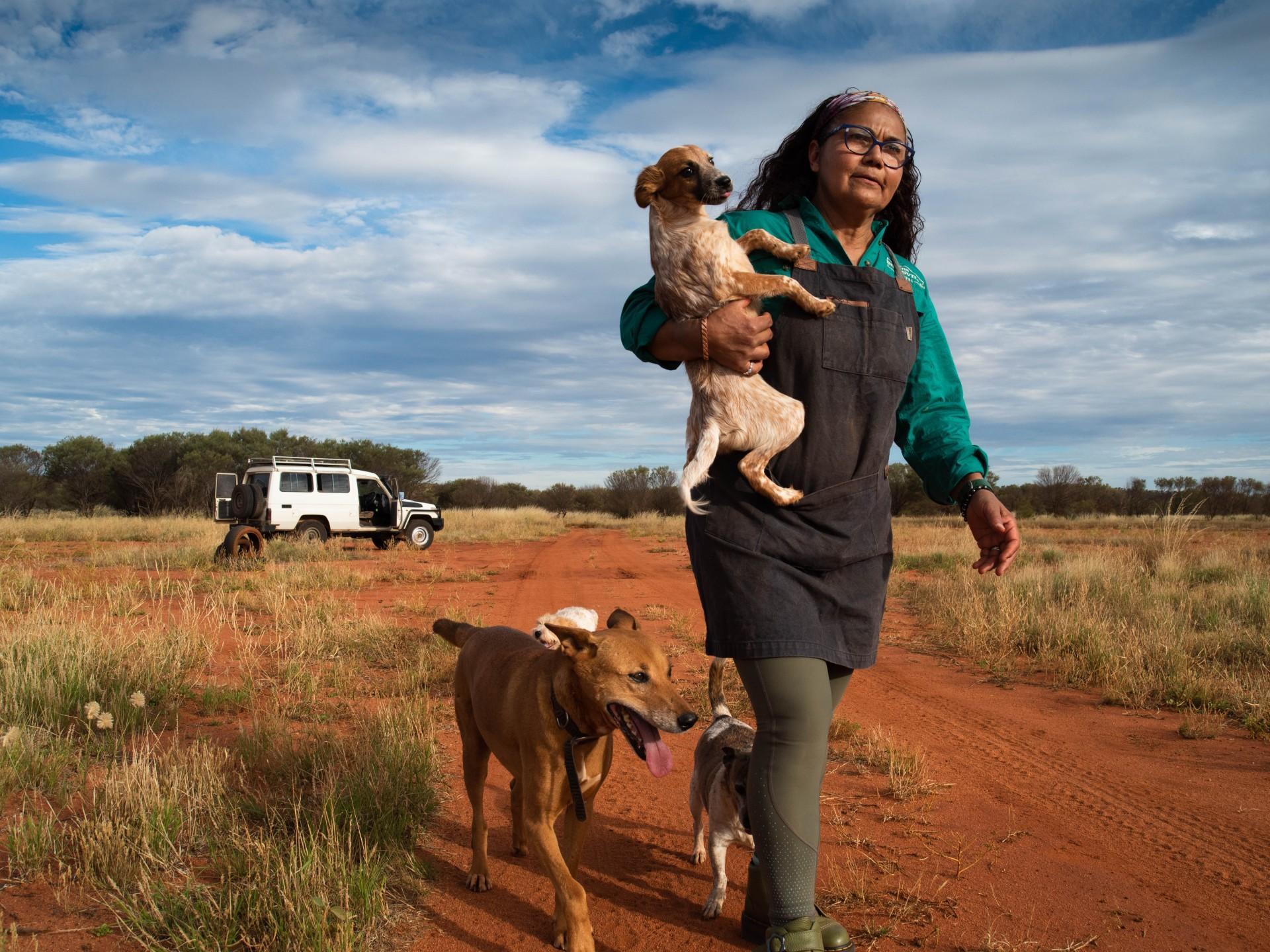 Caring for the half-wild dogs of Yuendumu’s Aboriginal community | Arts and Culture News