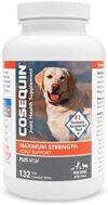 dog supplements for joints
