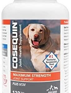 dog supplements for joints