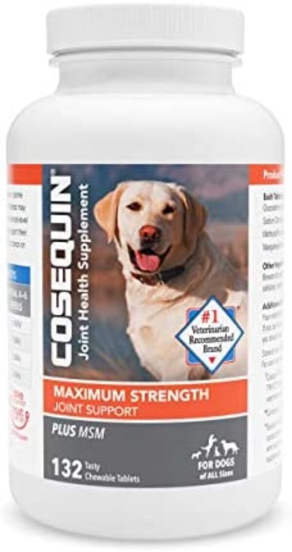 Nutramax Cosequin Maximum Strength Joint Health Supplement for Dogs - dog supplements for joints