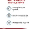 Royal Canin Size Health Nutrition Small Puppy Dry Dog Food | Perfect Nutrition for Small Breed Puppies - Image 7