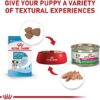 Royal Canin Size Health Nutrition Small Puppy Dry Dog Food | Perfect Nutrition for Small Breed Puppies - Image 9