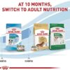 Royal Canin Size Health Nutrition Small Puppy Dry Dog Food | Perfect Nutrition for Small Breed Puppies - Image 10