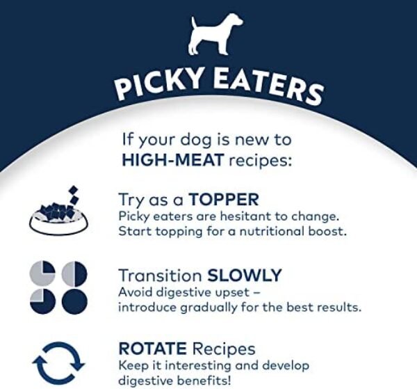 1684659847_51EcKQOljxL._AC_.jpg ZIWI Peak Air-Dried Dog Food - All Natural, High Protein, Grain Free with Superfoods | Buy Now!