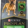 419U0oTTD-L._AC_.jpg Purina Pro Plan Small Breed Dog Food - Chicken & Rice Shredded Blend