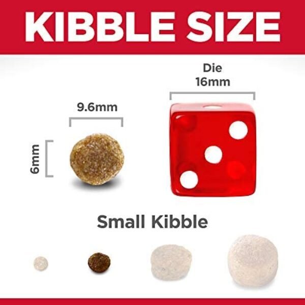 41EEqoCscUL._AC_.jpg Hill's Science Diet Adult 7+ Small Bites Dog Food - Nutritious Meal for Senior Dogs