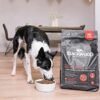 41HsVB2YLaL._AC_.jpg Premium Blackwood Dog Food: Natural Lamb Meal & Brown Rice Recipe