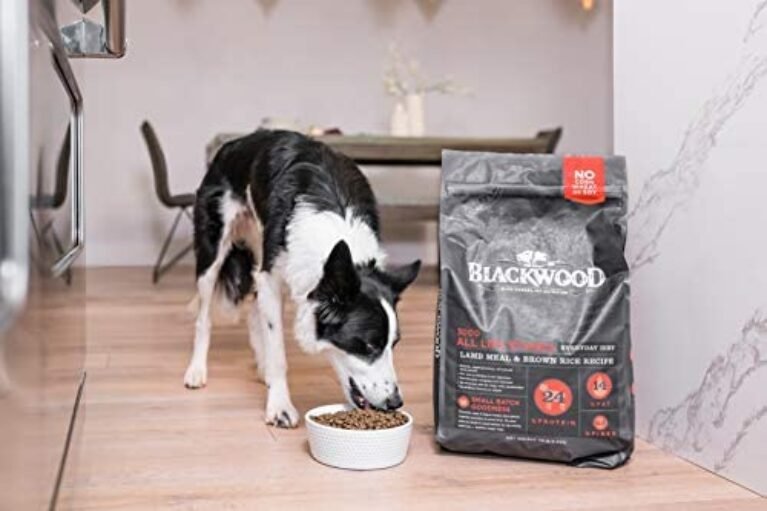 41HsVB2YLaL._AC_.jpg Premium Blackwood Dog Food: Natural Lamb Meal & Brown Rice Recipe