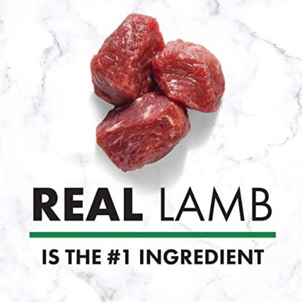 41Okpc-ONsL._AC_.jpg NUTRO NATURAL CHOICE Small Bites Adult Dry Dog Food - Premium Nutrition for Adult Dogs