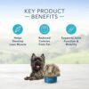 41YU1QvaQ8L._AC_.jpg Why Blue Buffalo Small Breed Healthy Weight Dog Food Is a Great Choice for Your Dog
