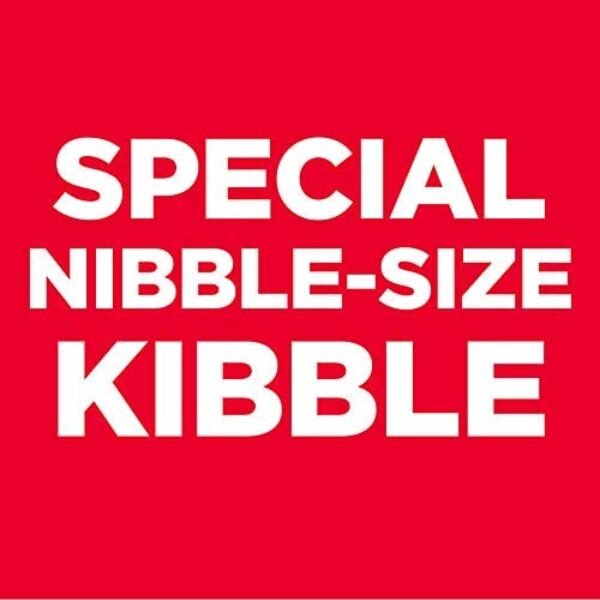 41nL4F5TnwL._AC_.jpg Ultimate Canine Delights Wet Dog Food Variety Pack - Wholesome & Delicious