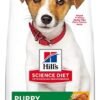 41v8eMibZ5L._AC_.jpg Hill's Science Diet Puppy Food - Small Bites Chicken & Barley