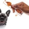 41y0LXK2m-L._AC_.jpg Good'N'Fun Triple Flavored Rawhide Kabobs for Dogs - Irresistible Treats for Your Pup