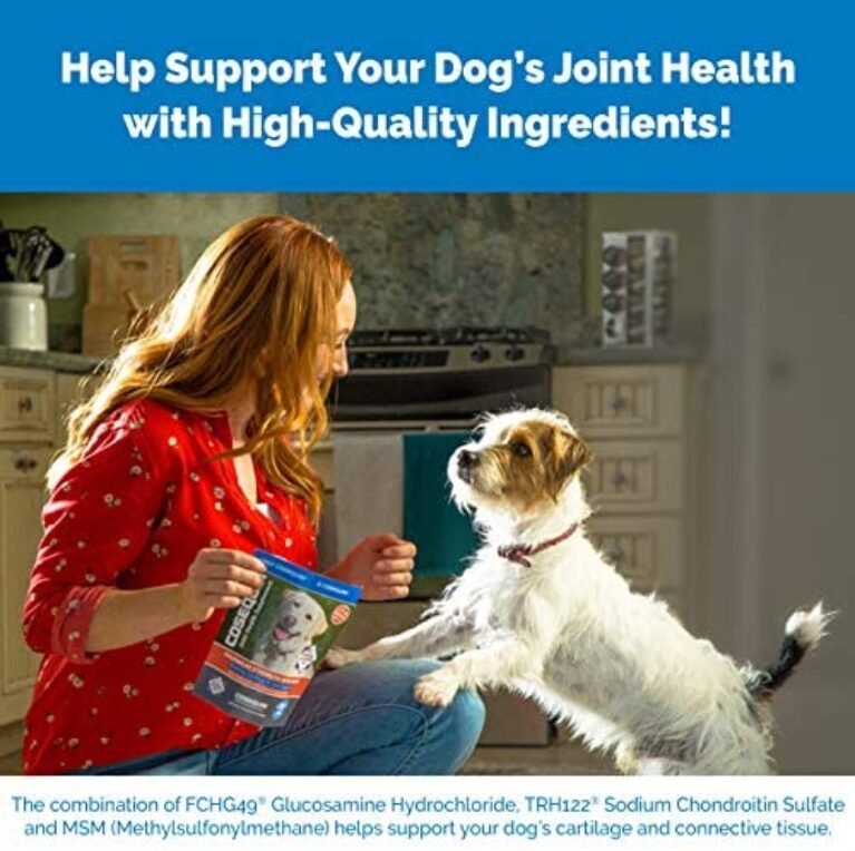 51-vZh4eDL._AC_.jpg Nutramax Cosequin Senior Joint Health Supplement - 60 Soft Chews | Support Aging Pets
